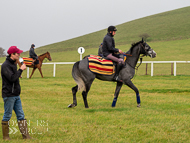 AK181121-35 - Sarsen